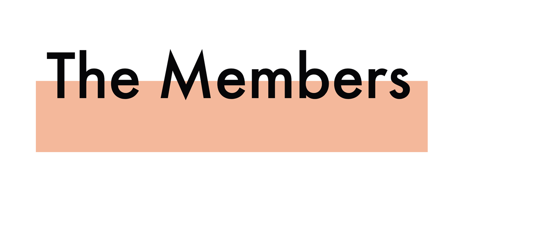 The-members-12